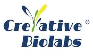 Creative Biolabs Unveils Integrated Bispecific Antibody Platforms for Precision Oncology